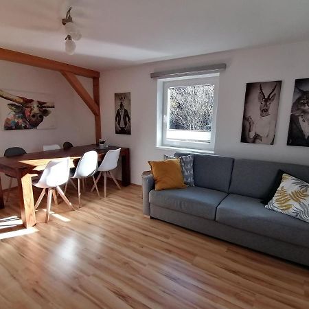 Apartment In Dienten With Mountain Views 디엔텐암호크코니그 외부 사진