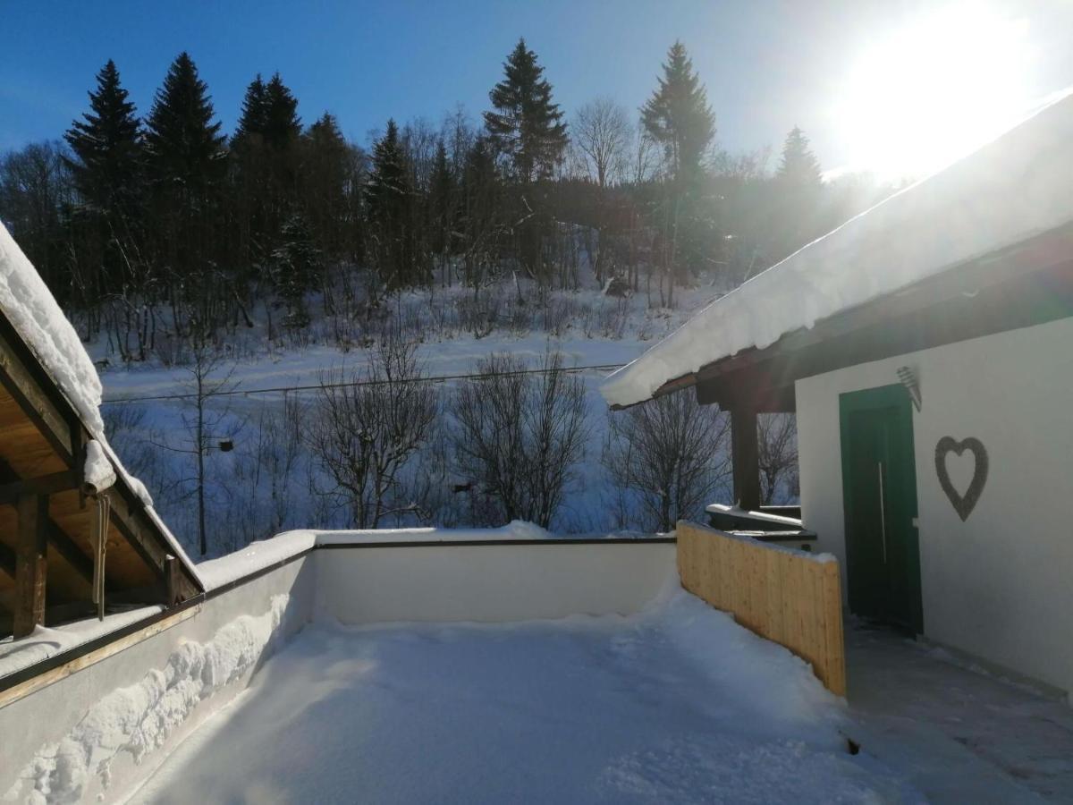 Apartment In Dienten With Mountain Views 디엔텐암호크코니그 외부 사진