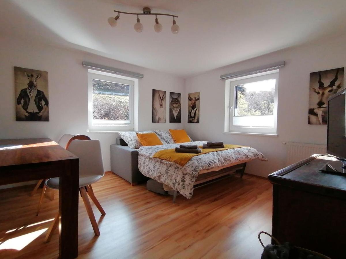Apartment In Dienten With Mountain Views 디엔텐암호크코니그 외부 사진