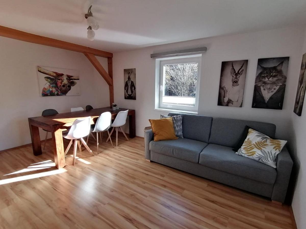 Apartment In Dienten With Mountain Views 디엔텐암호크코니그 외부 사진